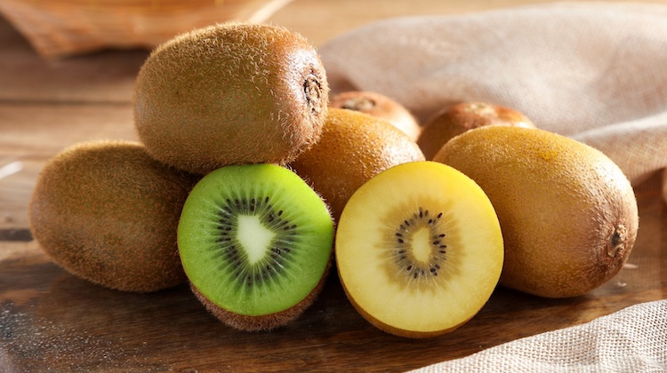 The Hog Ring - This Eco-Friendly Leather Alternative Is Made From Kiwifruit